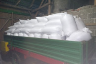 Pszenżyto workowane, dla trzody, drobiu, gołębi