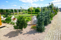 Zakładanie i pielęgnacja ogrodów