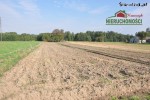 39 ar, Gęsówka gm. Wróblew