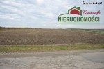 5,3 ha w miejscowości Brudzew