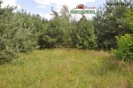 6779 m2., Strumiany gm. Burzenin