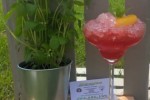 ShandyBar - Profesjonalne usługi barmańskie