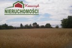 gospodarstwo rolne - Maszew gm. Warta