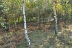 działka budowlana o pow. 3330m2 Bogumiłów