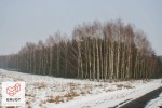 Do sprzedania atrakcyjna działka w Przymiłowie