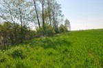 działka rolna 1,25 ha Dąbrówka