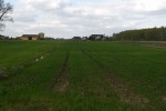 Atrakcyjna 12-sto arowa działka - Bilew
