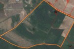 31,24 ha w jedyn kawałku - ZAPOLICE