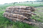 zrzyny sprzedaż zrzyn zrzyny pakowane