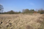 863 m2, Siedlątków gm. Pęczniew