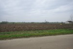 3 działki budowlane, Dąbrowa Widawska
