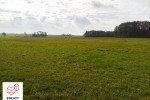 Działki budowlane w Ptaszkowicach