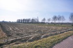 1454 m2, ul. Dworska, Sieradz