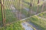 Brama z furtką i słupkami. Polski rzemieślnik.