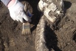 nadzór archeologiczny, badania archeologiczne